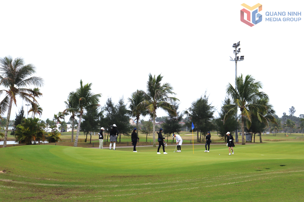 2470966_wtm_a2b9871ec9eff8a996bfb3841f484b31.jpg (682 KB)