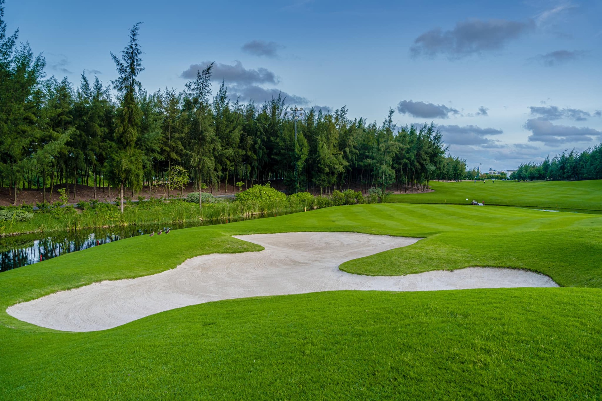 295819078_3365636413670485_5440308561842846260_n_1749268393.jpg (781 KB)