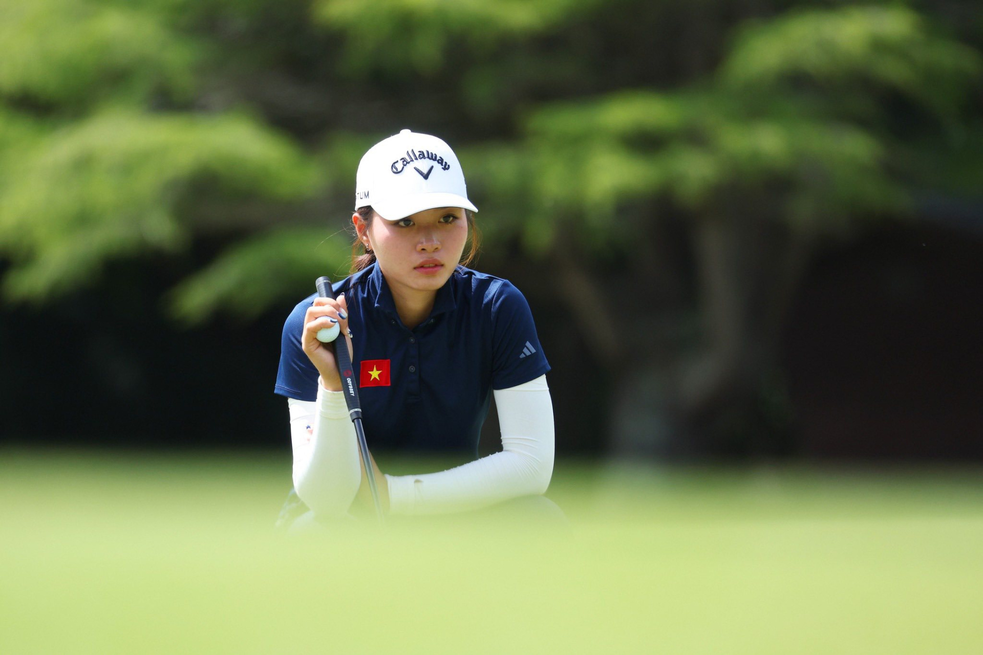 631449274_1434577978523173_7512268929062128554_n 631449274_1434577978523173_7512268929062128554_n.jpg (429 KB)