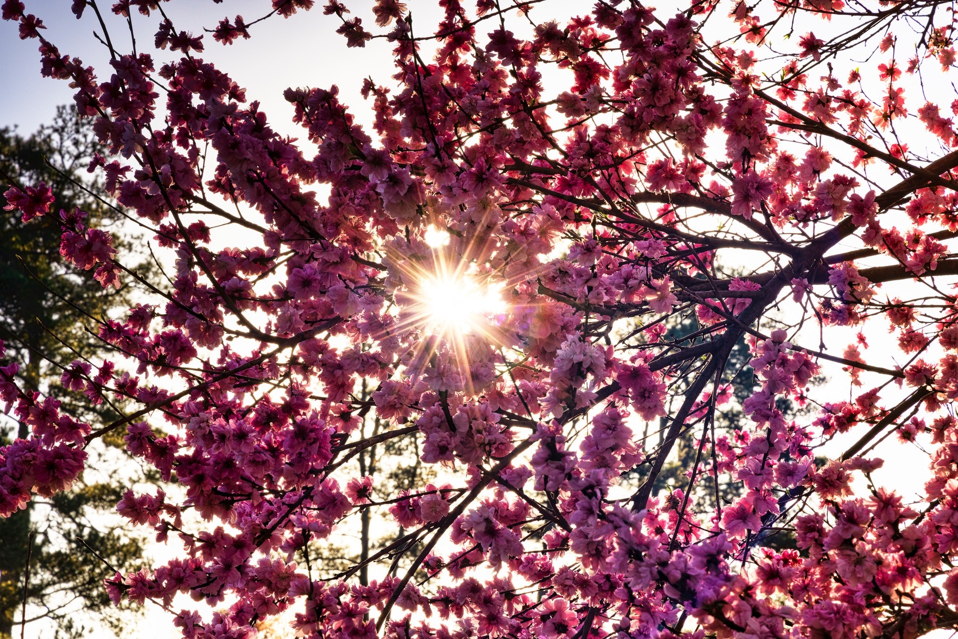 651705061_1374775294679332_5539579260729098517_n 651705061_1374775294679332_5539579260729098517_n.jpg (1.19 MB)