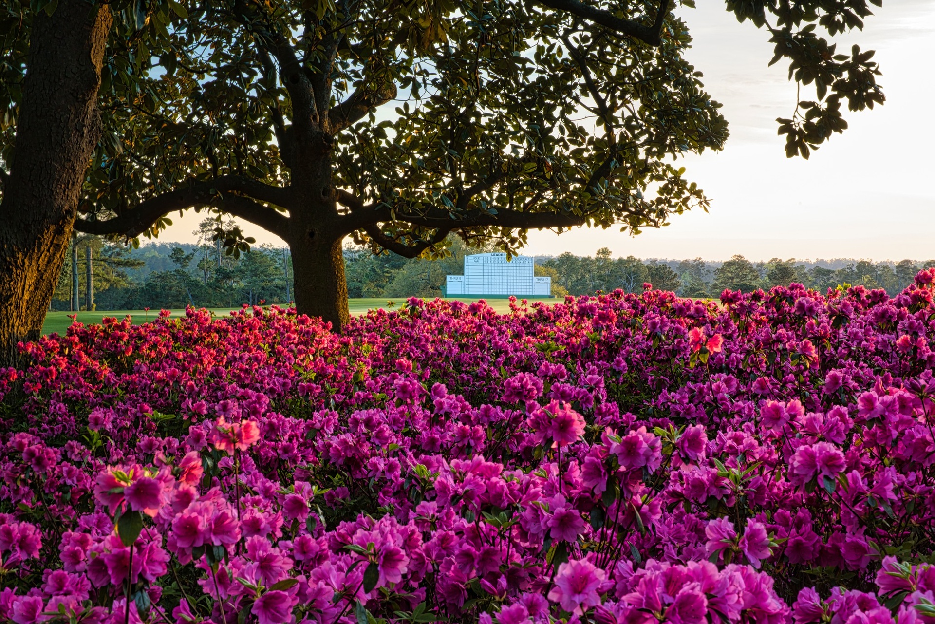 652973219_1374775961345932_2330994808188164256_n 652973219_1374775961345932_2330994808188164256_n.jpg (1.13 MB)