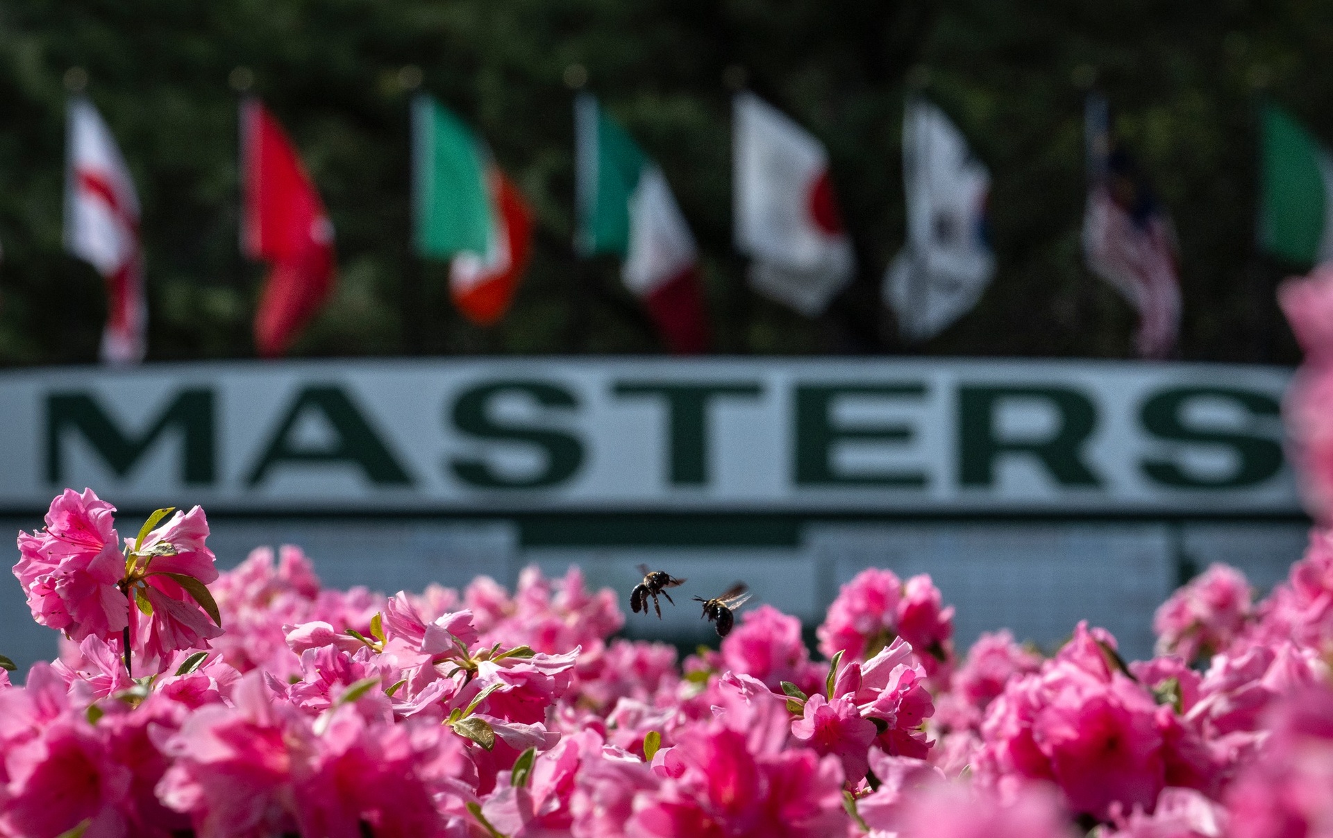 654990463_1374774904679371_3304537578867911212_n 654990463_1374774904679371_3304537578867911212_n.jpg (685 KB)