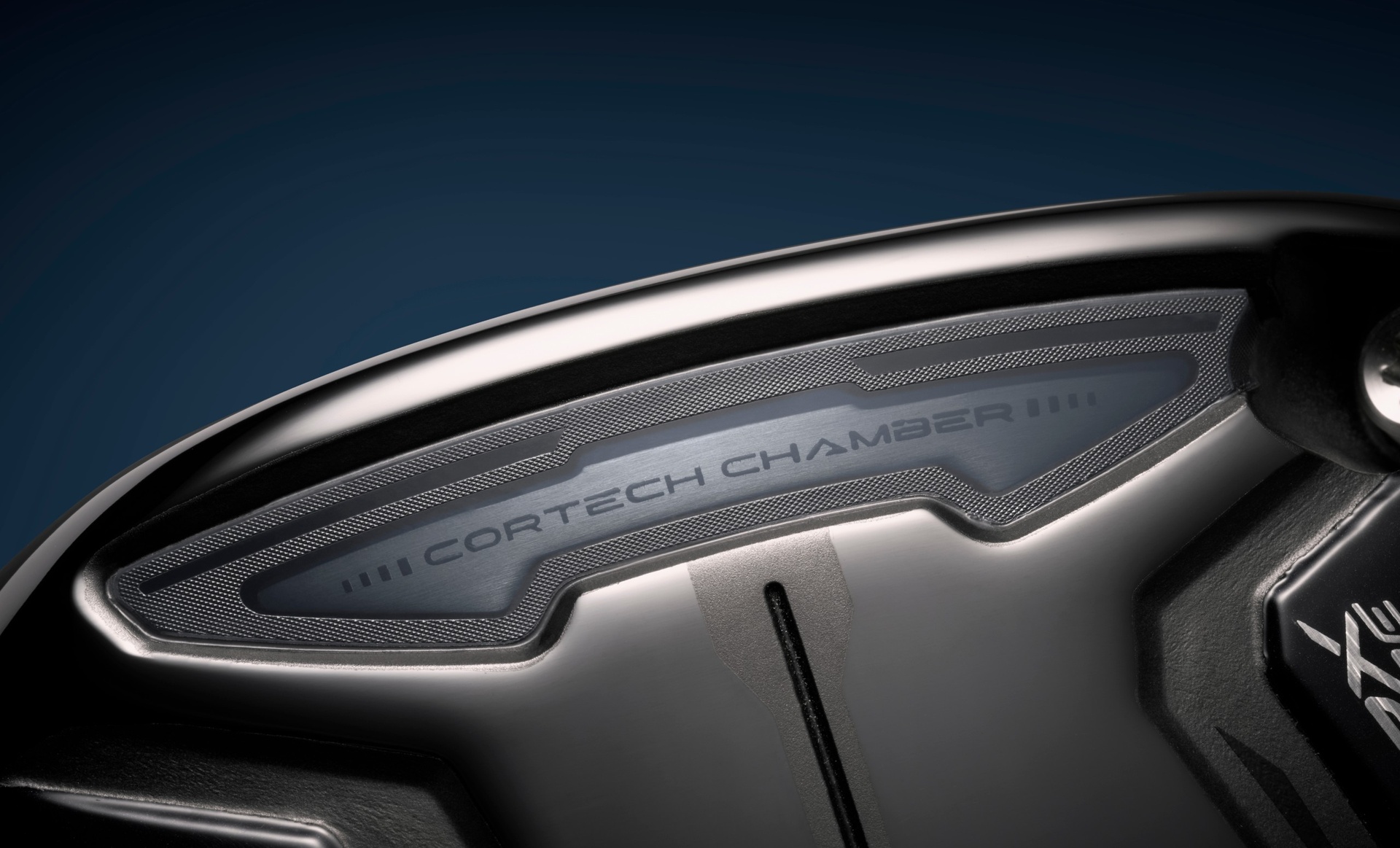 d6db5c22b5f03bae62e1.jpg (409 KB)