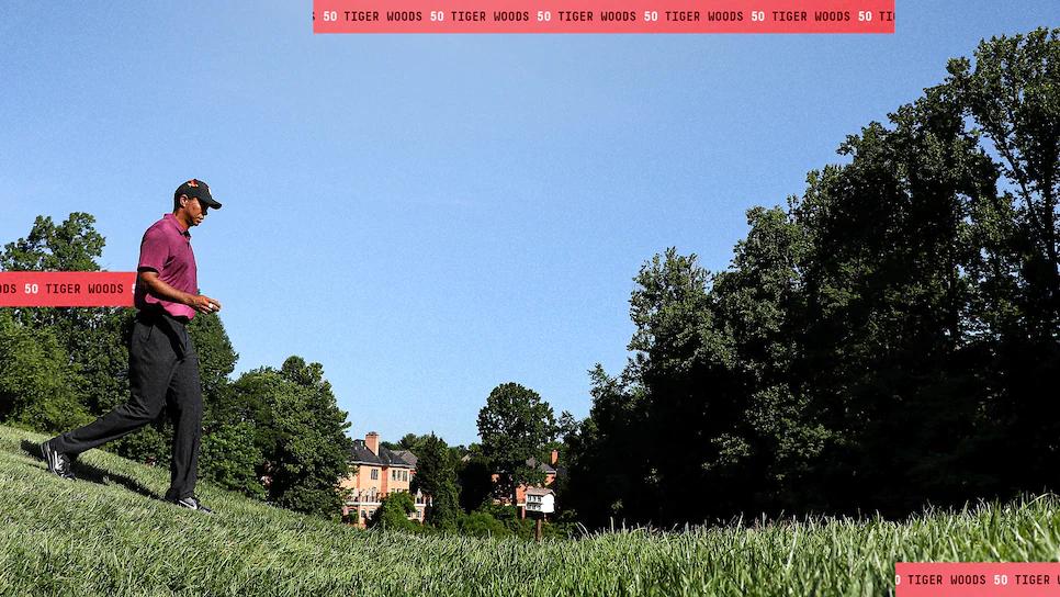 z7376184988351_d331c8ff9d6b559fc223d010b2c7edcb z7376184988351_d331c8ff9d6b559fc223d010b2c7edcb.jpg (119 KB)