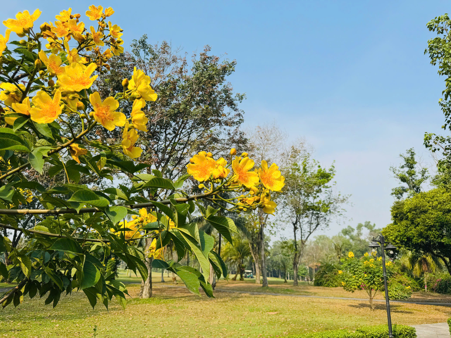 z7530279309758_402464a73acc2a907fb6d1a536dff987.jpg (1.41 MB)