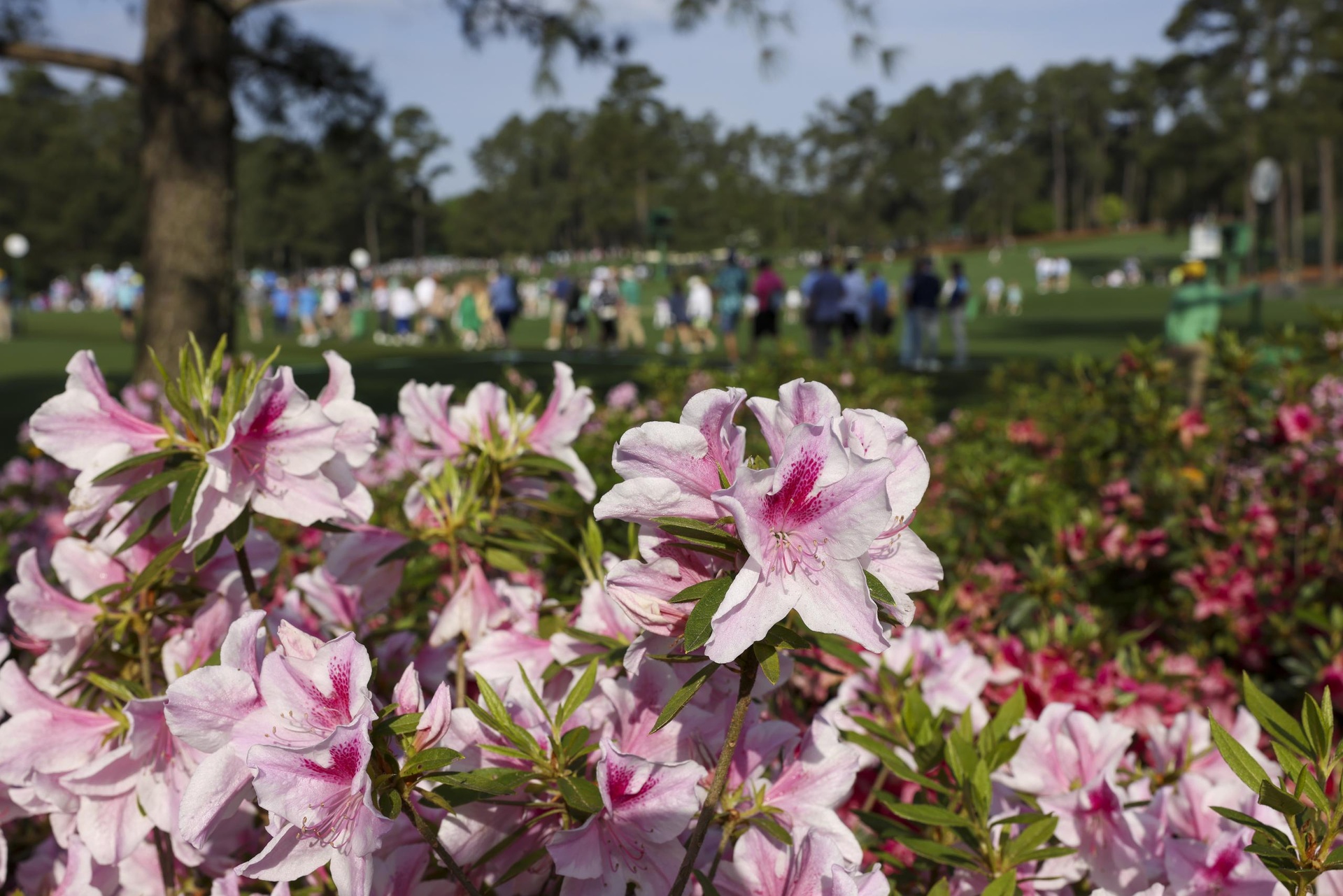 z7658933458997_b0feb3774154051011637f510a4e632c z7658933458997_b0feb3774154051011637f510a4e632c.jpg (570 KB)