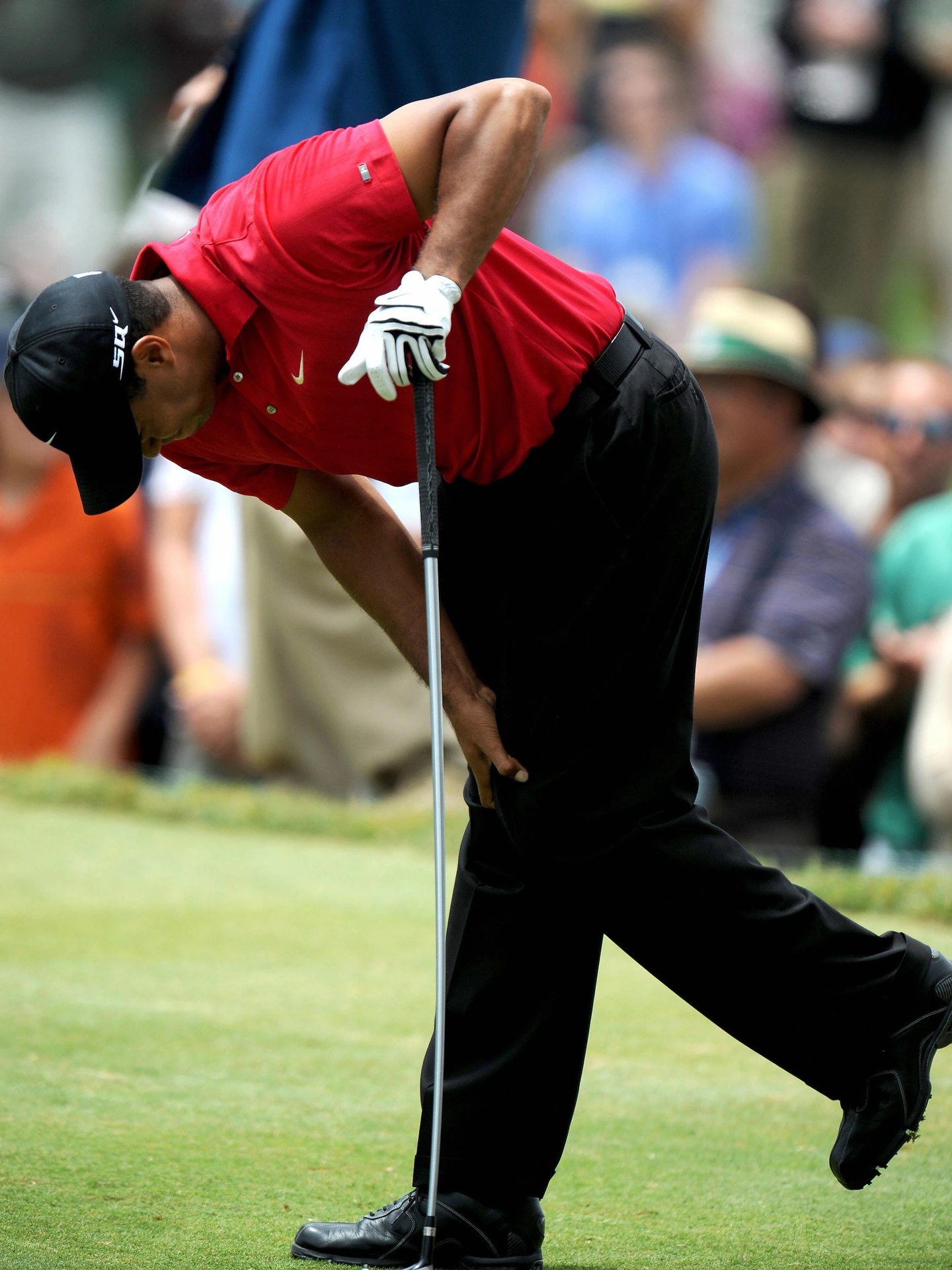 31b1587cc2c44c9a15d5_28129 31b1587cc2c44c9a15d5_(1).jpg (549 KB)