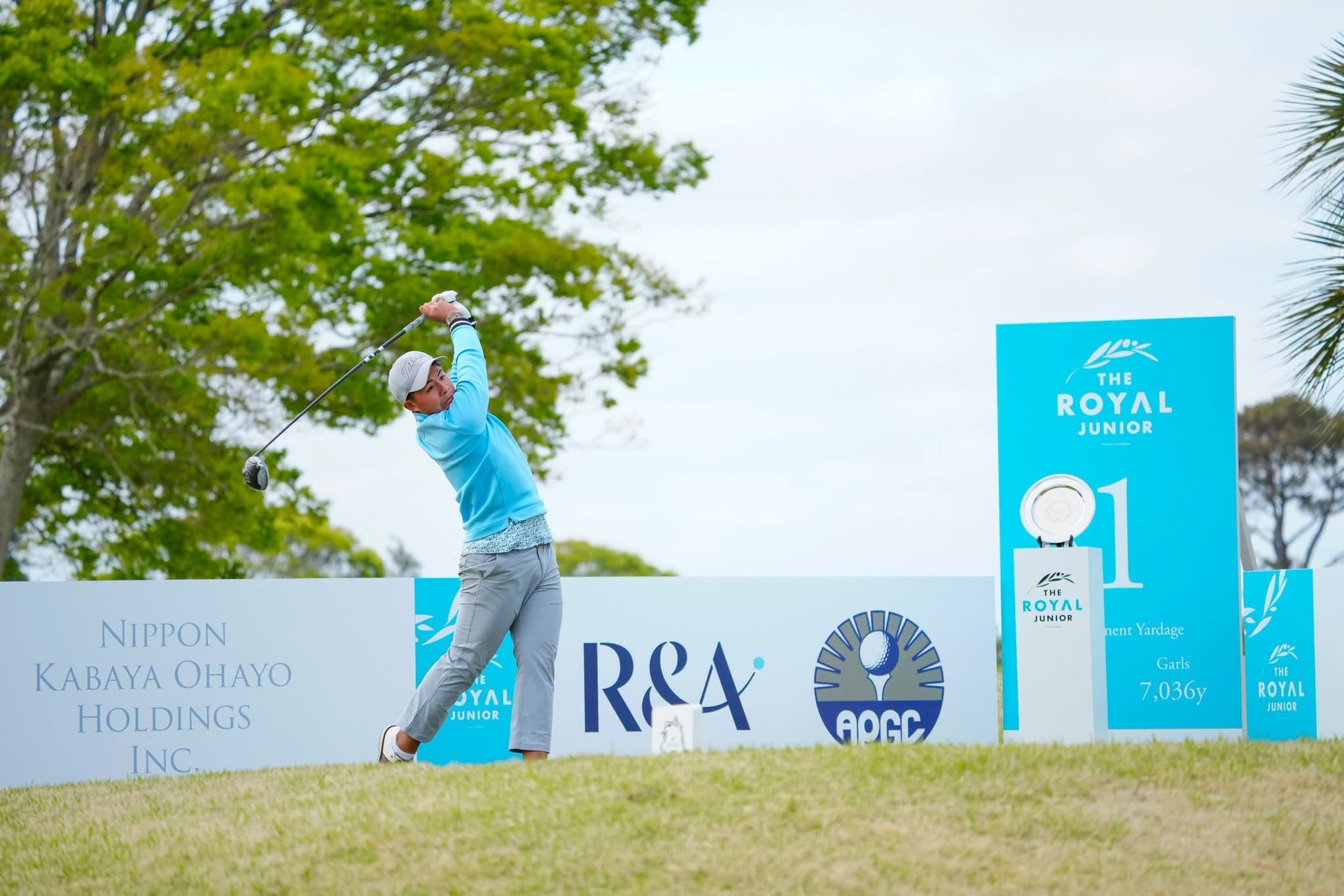 3936198040107942628.jpg (498 KB)