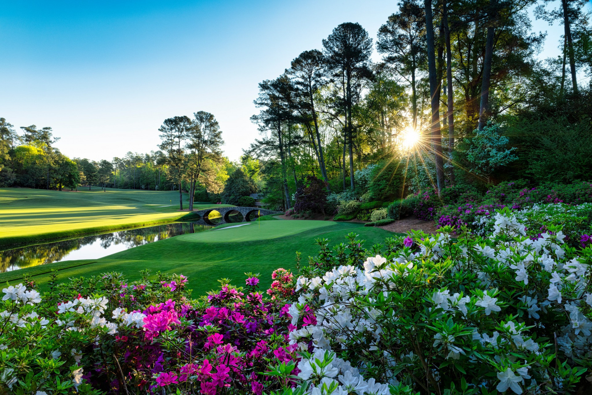 486216662_1079981414158723_432455133095490409_n-1