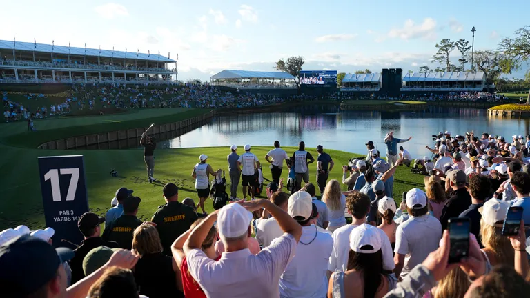 4vMVjQifRVQCSGbfwriPx3-768-80.jpg.webp (64 KB)