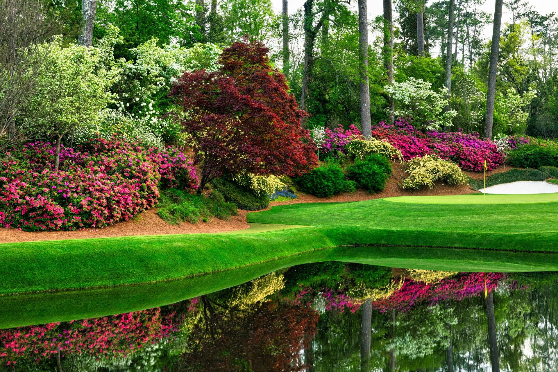 654360607_1374775378012657_3840569569903549105_n_(1).jpg (1.52 MB)