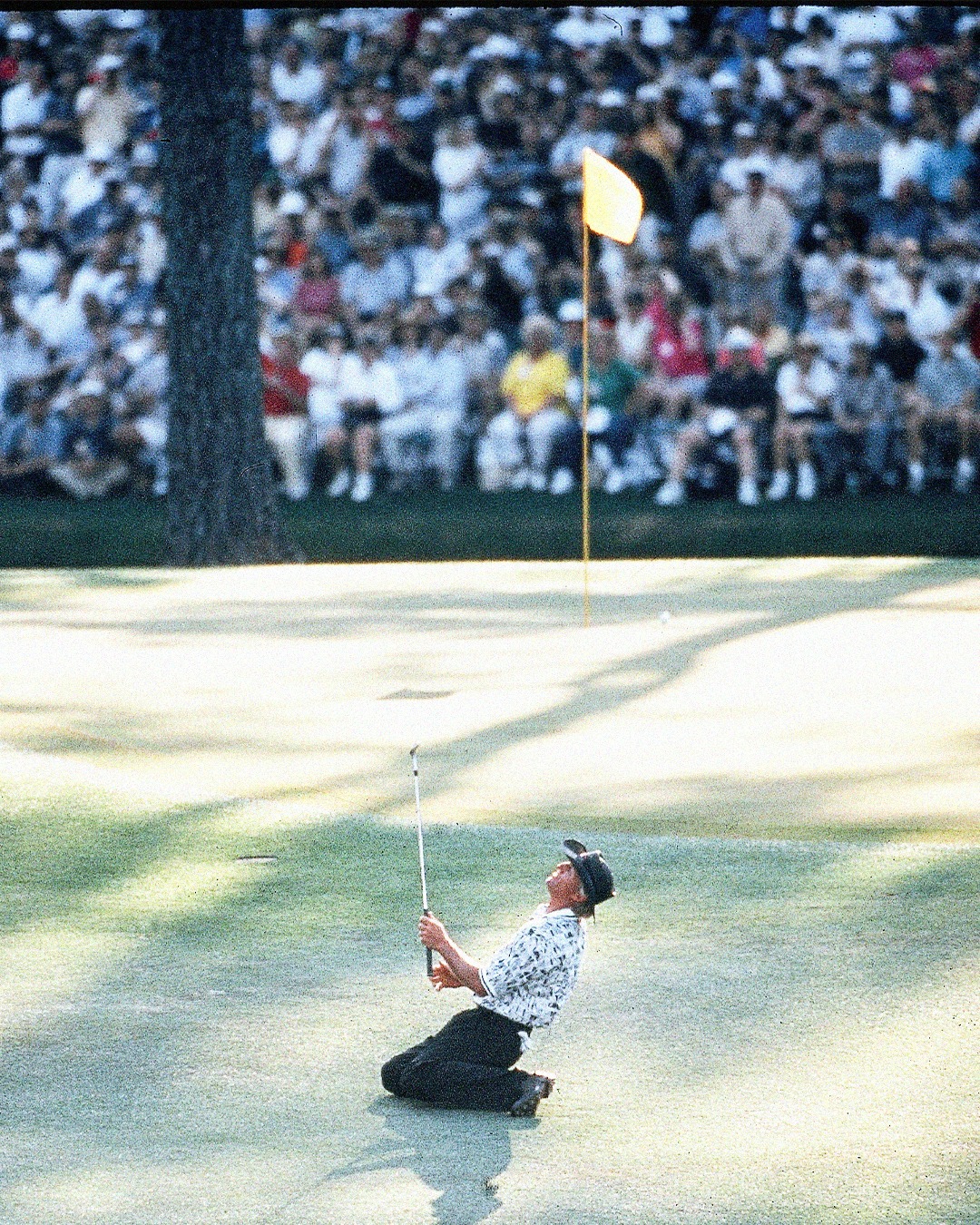 668441328_1518703979627390_1124567045390334531_n.jpg (751 KB)