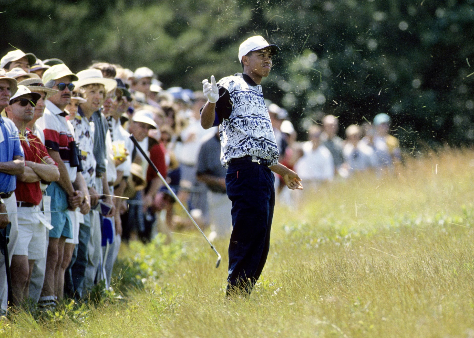 b47b62b3f80b76552f1a_28129 b47b62b3f80b76552f1a_(1).jpg (610 KB)