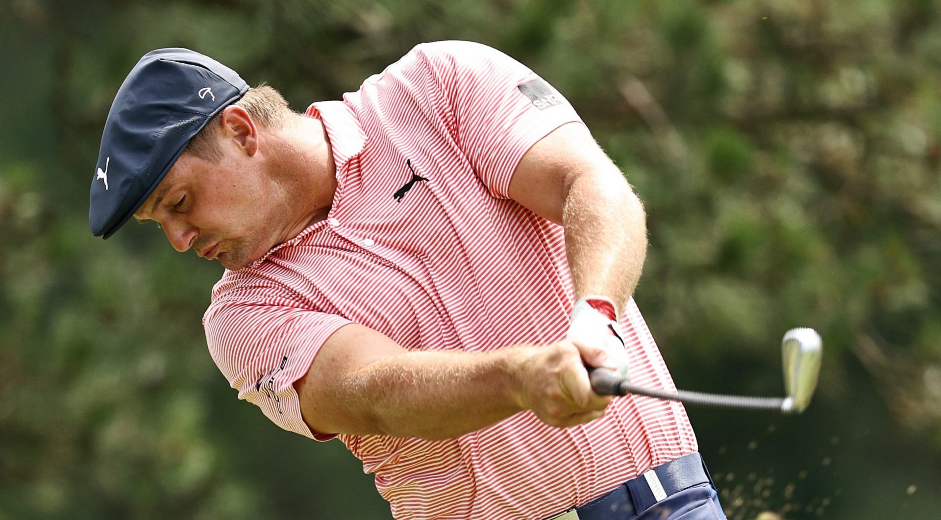 bryson_(2).jpg (604 KB)