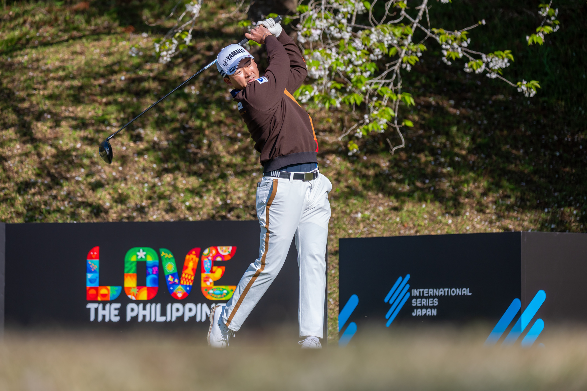 unnamed_1 unnamed_(1).jpg (784 KB)