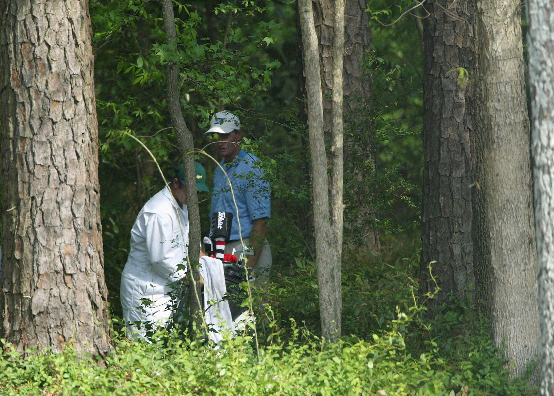 z7686332026611_b3a4bc0801c9fd863792782e4b265609 z7686332026611_b3a4bc0801c9fd863792782e4b265609.jpg (425 KB)